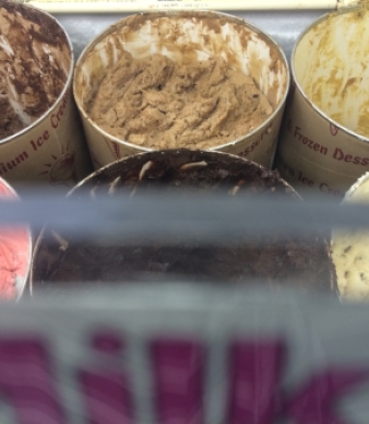 Ra Ra's Ice Cream Parlor
